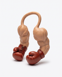 SouthPaw boxing glove cat arms